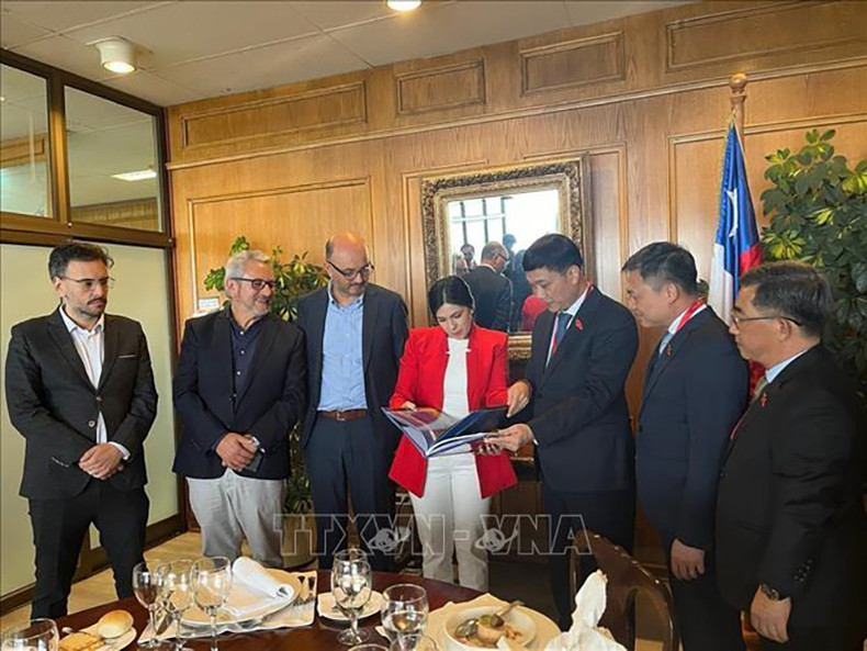 Делегация Комитета НС Вьетнама работает с Председателем Палаты депутатов Чили Кароль Кариолой. Фото: ВИА Делегация Комитета НС Вьетнама работает с Председателем Палаты депутатов Чили Кароль Кариолой. Фото: ВИА