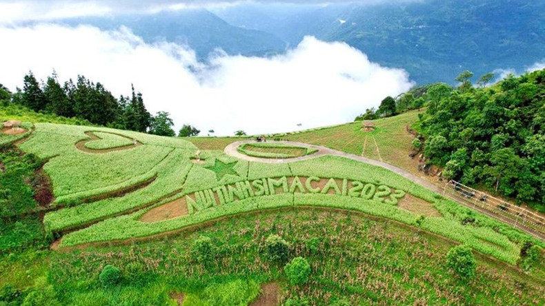 Холм белых цветов гречихи семьи г-на Кы Шео Чо в селении Фотхау общины Шимакай является излюбленным местом для туристов во время Национального праздника 2 сентября. Холм белых цветов гречихи семьи г-на Кы Шео Чо в селении Фотхау общины Шимакай является излюбленным местом для туристов во время Национального праздника 2 сентября.