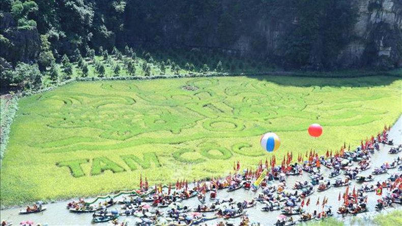 Рисовая картина, созданная местными ремесленниками и жителями. Фото: ВИА