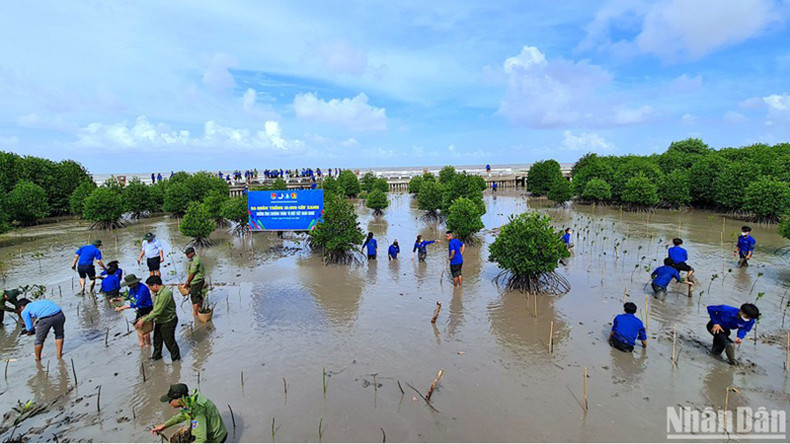 Многочисленные члены ВКСМ участвуют в посадке деревьев после церемонии запуска кампании. Многочисленные члены ВКСМ участвуют в посадке деревьев после церемонии запуска кампании.