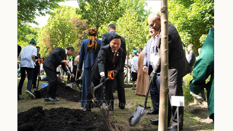 Делегаты принимают участие в церемонии посадки деревьев в Таврическом саду.