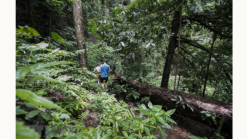 Экосистема у входа в пещеру Шынг.