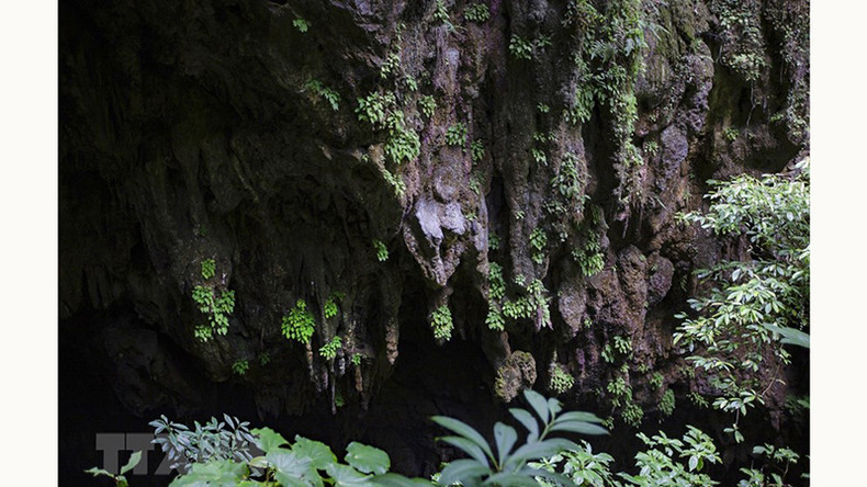 Нетронутая красота сталактитов в непосредственной близости от входа в пещеру Шынг.