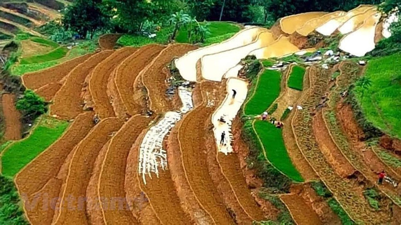 Живописные террасные рисовые поля в сезон заливных полей удивительно очаровательны для многих приезжающих сюда туристов.