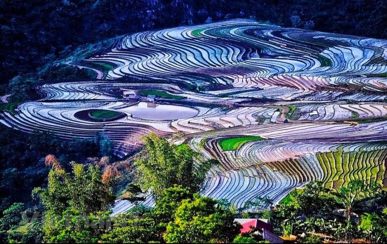 Первые дожди сезона, которые приносят воду на поля, также являются моментом, когда фермеры начинают новую пересадку. Сезон заливных полей в Лаокае ежегодно длится с мая по июнь.