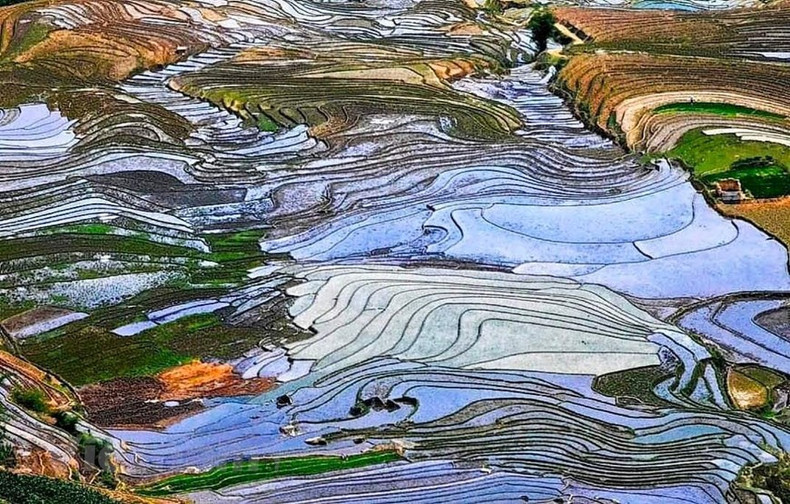 Зеленый цвет то появляется, то исчезает на полях в долине Тхиеншинь (Батсат, Лаокай). Бурый цвет земли, глянцевый цвет воды и зеленый цвет рисовых рассад создают прекрасную картину.