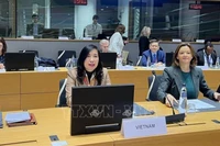 Заместитель министра Ле Тхи Тху Ханг на IPMF-4. Фото: ВИА