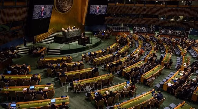 Общий вид конференции. Фото: AFP/VNA