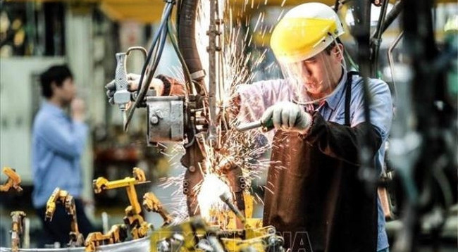 60% опрошенных предприятий имеют план расширения торговой деятельности и производства во Вьетнаме. Фото: VNA