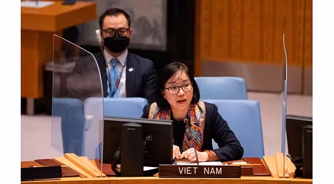 Советник-посланник, Заместитель главы постоянной миссии Вьетнама при ООН Нгуен Фыонг Ча. Фото: baoquocte.vn