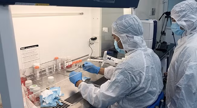 Иллюстрация. Фото: Кхань Тьи