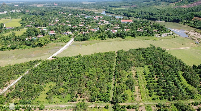 Сады помело в общине Хыонгчать (провинция Хатинь).