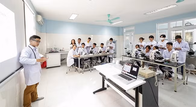 Практическое занятие проводится со студентами Ханойского государственного университета. 