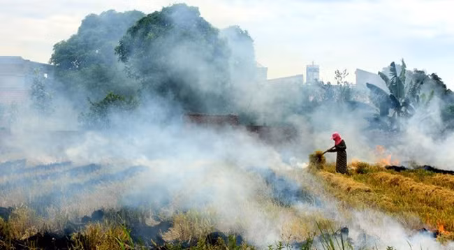 Вьетнам стремится к 2030 г. снизить интенсивность выбросов парниковых газов по отношению к ВВП не менее чем на 15% по сравнению с 2014 г. 