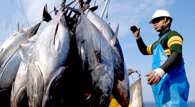 Фото: tapchitaichinh.vn