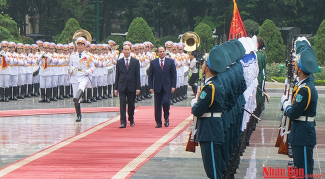 Президент Вьетнама Чан Дай Куанг и Президент Египта Абдель Фаттах ас-Сиси на церемонии встречи. Фото: Динь Чыонг 
