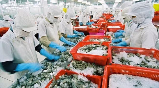 Вьетнам входит в десятку крупнейших производителей и экспортеров продукции морского промысла на мировом рынке. Фото: Vihasa