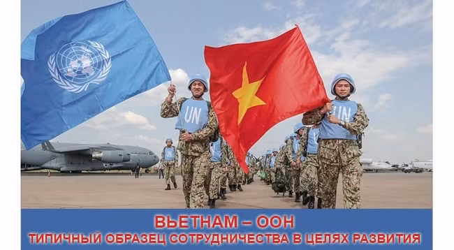 [Инфографика] Вьетнам – ООН: Типичный образец сотрудничества в целях развития