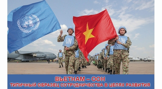 [Инфографика] Вьетнам – ООН: Типичный образец сотрудничества в целях развития