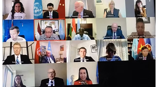 Открытое заседание в онлайн режиме. Фото: UN