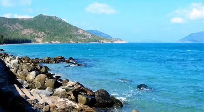 Фото: thesaigontimes.vn