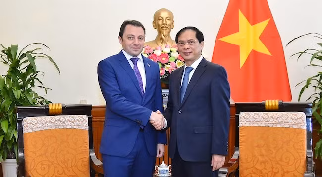 Министр иностранных дел Вьетнама Буй Тхань Шон и Замминистра иностранных дел Азербайджана Эльнур Мамедов. Фото: baoquocte.vn