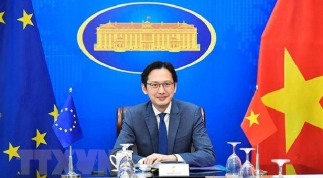 Помощник Министра иностранных дел Вьетнама До Хунг Вьет. Фото: VNA