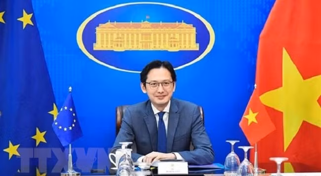 Помощник Министра иностранных дел Вьетнама До Хунг Вьет. Фото: VNA