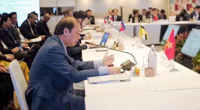 Заместитель министра иностранных дел Нгуен Куок Зунг выступает на Совещании СДЛ АСЕАН+3. Фото: МИД Вьетнама