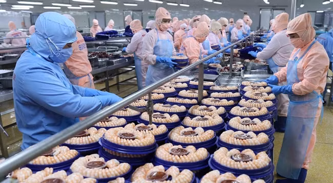 Стоимость экспорта креветок за июнь достигла примерно 402 млн долларов США. Фото: VNA