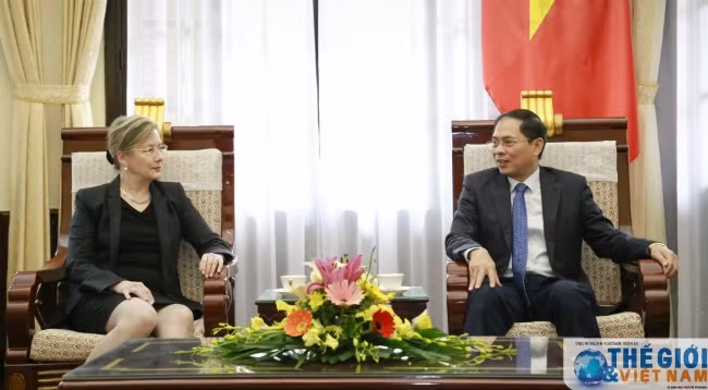 Постоянный заместитель министра иностранных дел Вьетнама Буй Тхань Шон (справа) и заместитель госсекретаря МИД Финляндии Элина Калкку. Фото: baoquocte.vn