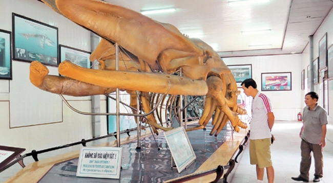 Туристы посещают Музей океанологии. Фото: Хань Нгуен