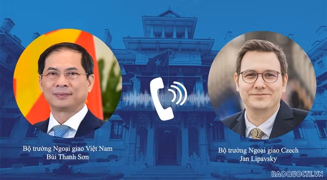 Глава МИД Вьетнама Буй Тхань Шон (слева) и глава МИД Чехии Ян Липавский. Фото: baoquocte.vn