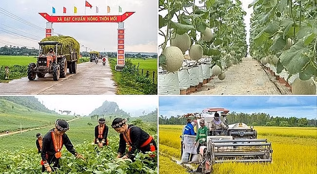 Иллюстрация. Фото: haiquanonline.com.vn