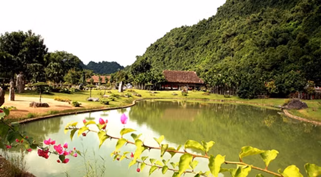 Экотуристическая зона птичьего сада Тхунгням находится примерно в 12 км к востоку от города Ниньбинь. Фото: baoninhbinh.org.vn