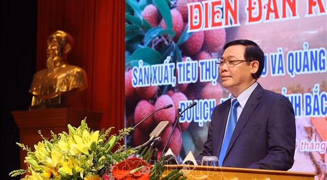 Вице-премьер Выонг Динь Хюэ выступает на форуме. Фото: VNA