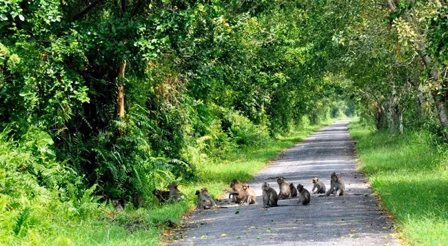 Национальный парк Фукуок расположен в общинах Байтхом, Кыазыонг и Хамнинь. Фото: phuquocsensetravel.com