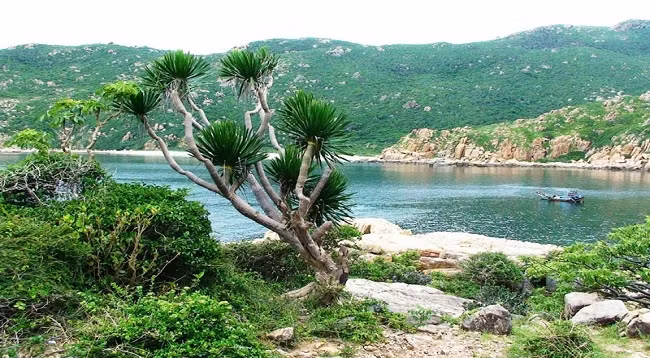 Национальный парк Нуйтюа. Фото: dulich24h.com.vn