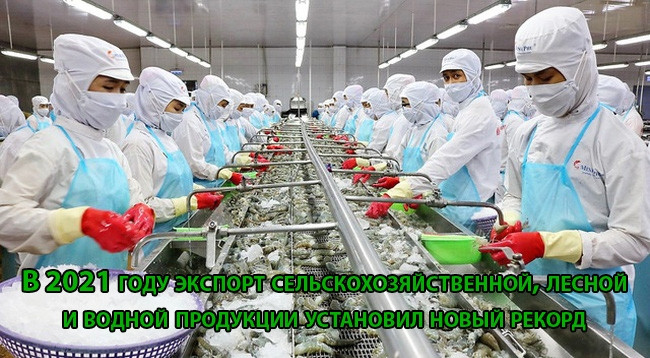 [Инфографика] В 2021 году экспорт сельскохозяйственной, лесной и водной продукции установил новый рекорд