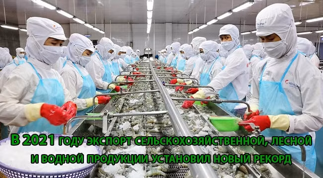 [Инфографика] В 2021 году экспорт сельскохозяйственной, лесной и водной продукции установил новый рекорд