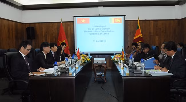 Общий вид 3-х политических консультаций между Вьетнамом и Шри-Ланкой. Фото: МИД Вьетнама