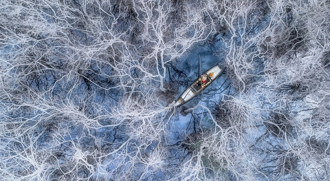 Произведение «Рыбалка в мангровом лесу» фотографа Фам Хюи Чунга. Фото: Drone Awards 2021