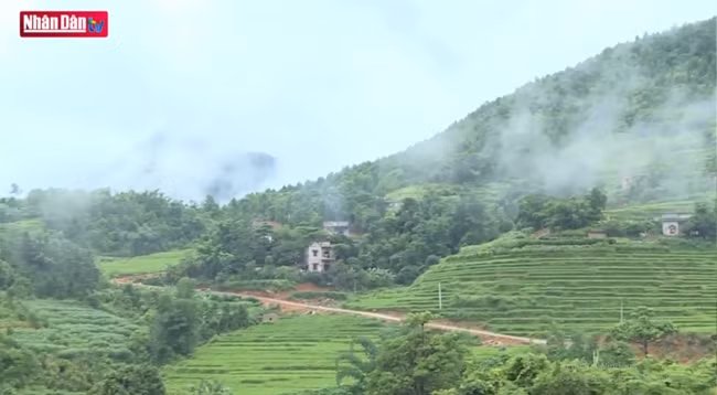 Селение Нганпат находится в общине Лукхон в уезде Биньльеу провинции Куангнинь.