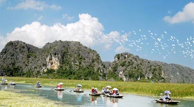 Единственный способ посещения лагуны Ванлонг – катание на лодке. Фото: dulichninhbinh.com.vn