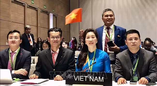 Делегация Вьетнама на 14-й сессии Межправительственного комитета по охране нематериального культурного наследия ЮНЕСКО. Фото: VNA