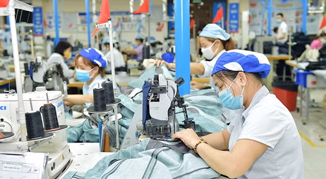 Производство одежды для экспорта в Швейной корпорации №10. Фото: hanoimoi.com.vn