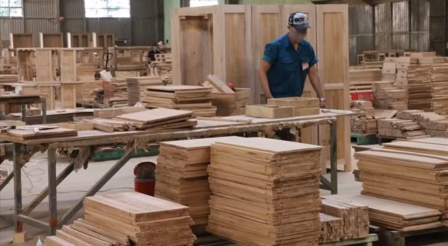 Фото: laodong.vn