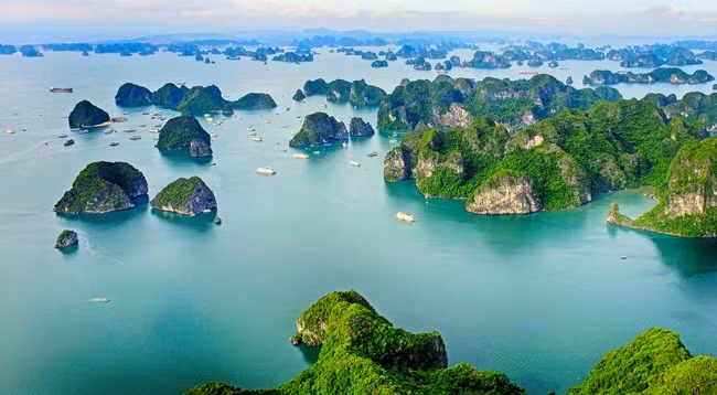 Бухта Халонг – объект Всемирного природного наследия. Фото: baoquangninh.com.vn