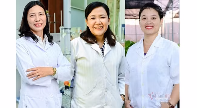 Доцент, кандидат наук Хо Тхи Тхань Ван (в центре), кандидат наук Фам Тхи Тху Ха (справа), кандидат наук Чан Тхи Хонг Хань. Фото: vietnamnet.vn
