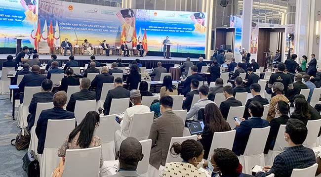 Вьетнамско-франкоязычный экономический форум высокого уровня. Фото: Нгуен Ха